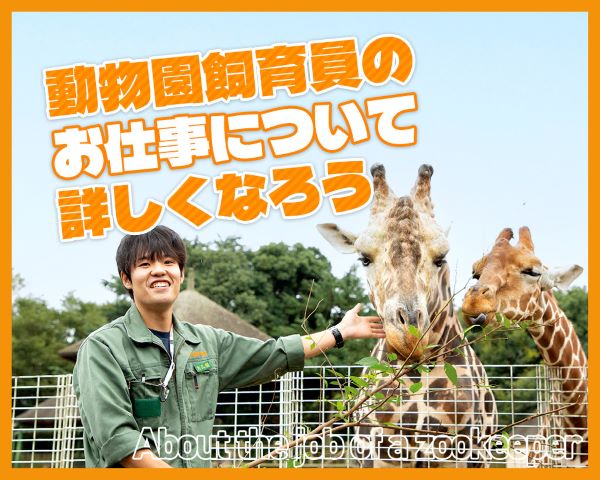 動物園飼育員のお仕事について詳しくなろう／ＴＣＡ東京ＥＣＯ動物海洋専門学校