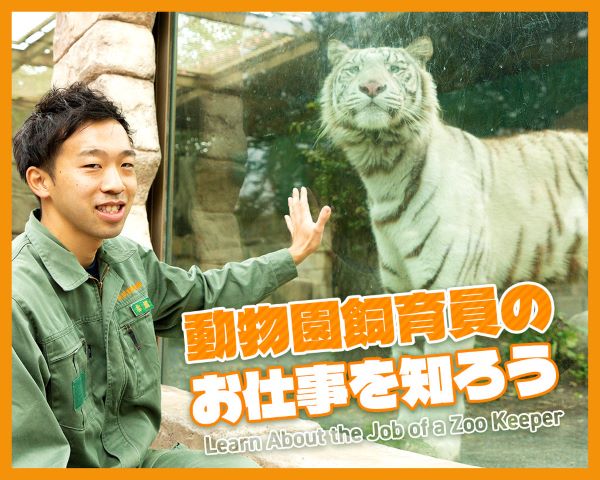 動物園飼育員のお仕事を知ろう／ＴＣＡ東京ＥＣＯ動物海洋専門学校