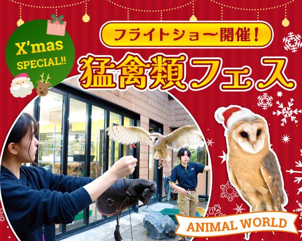 フライトショー開催！猛禽類フェス／ＴＣＡ東京ＥＣＯ動物海洋専門学校