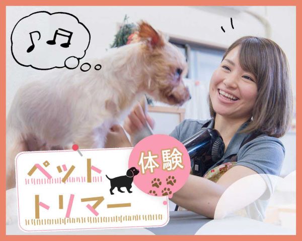 ペットトリマー体験／ＴＣＡ東京ＥＣＯ動物海洋専門学校