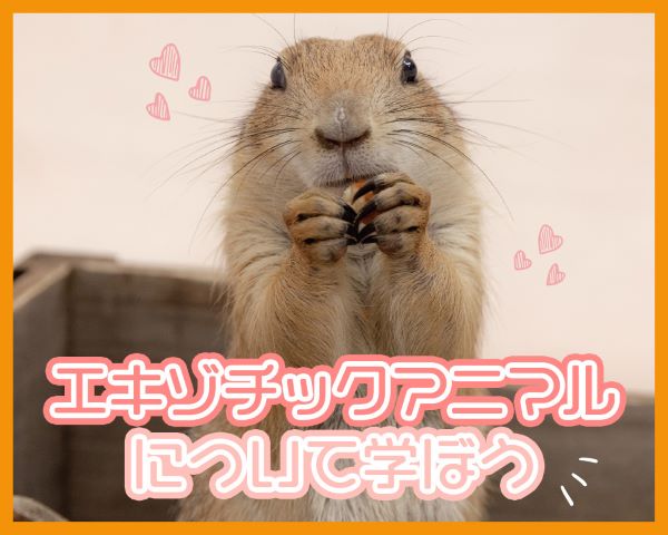 エキゾチックアニマルについて学ぼう！／ＴＣＡ東京ＥＣＯ動物海洋専門学校