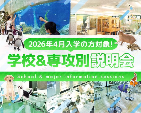 2026年4月入学の方対象！学校＆専攻別説明会／ＴＣＡ東京ＥＣＯ動物海洋専門学校