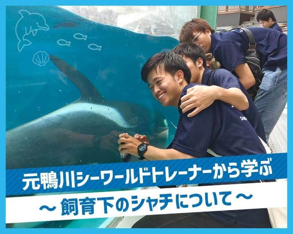 元鴨川シーワールドトレーナーから学ぶ～飼育下のシャチについて～／ＴＣＡ東京ＥＣＯ動物海洋専門学校