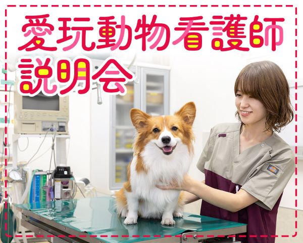 2026年4月入学の方対象！愛玩動物看護師　説明会／ＴＣＡ東京ＥＣＯ動物海洋専門学校