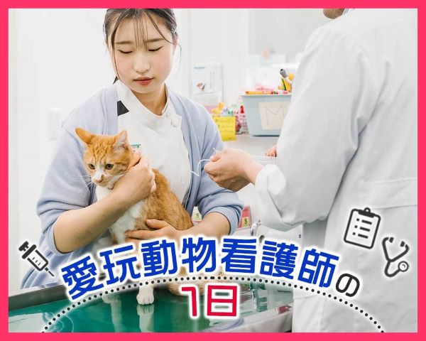 愛玩動物看護師の1日／ＴＣＡ東京ＥＣＯ動物海洋専門学校