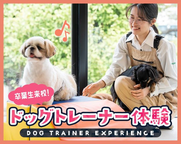 卒業生来校！ドッグトレーナー体験／ＴＣＡ東京ＥＣＯ動物海洋専門学校