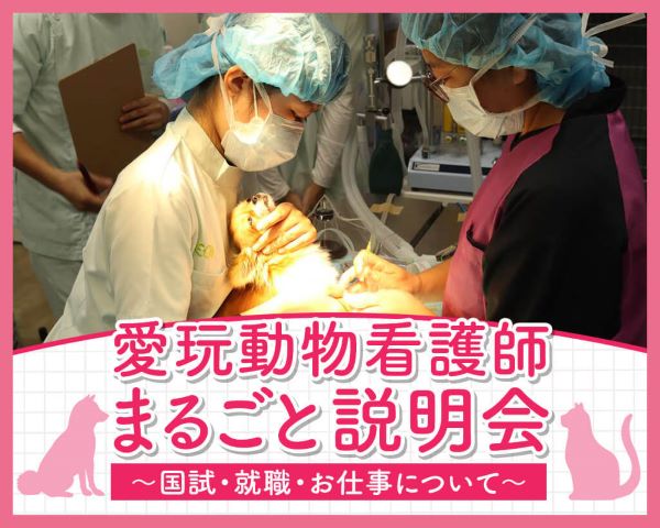 愛玩動物看護師まるごと説明会～国試・就職・お仕事について～／ＴＣＡ東京ＥＣＯ動物海洋専門学校