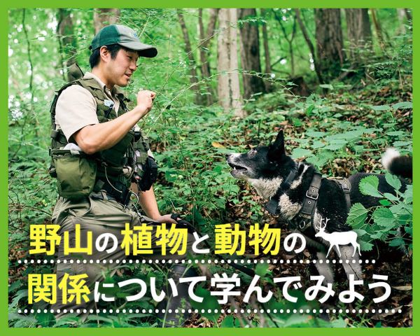 野山の植物と動物の関係について学んでみよう／ＴＣＡ東京ＥＣＯ動物海洋専門学校