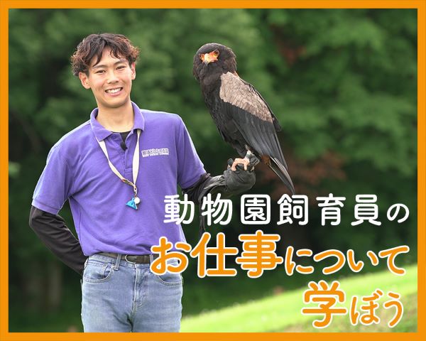 動物園飼育員のお仕事について学ぼう／ＴＣＡ東京ＥＣＯ動物海洋専門学校