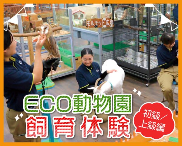 ECO動物園飼育体験【初級／上級編】／ＴＣＡ東京ＥＣＯ動物海洋専門学校