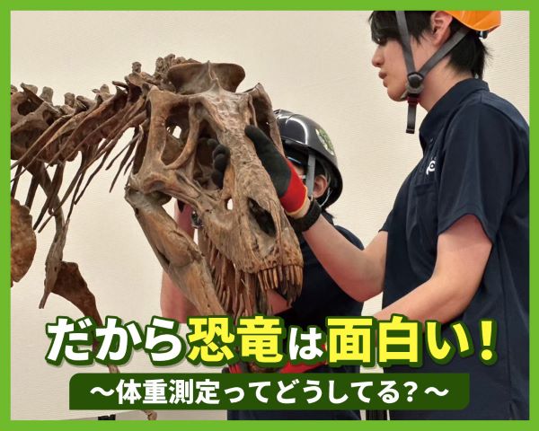 だから恐竜は面白い！～体重測定ってどうしてる？～／ＴＣＡ東京ＥＣＯ動物海洋専門学校
