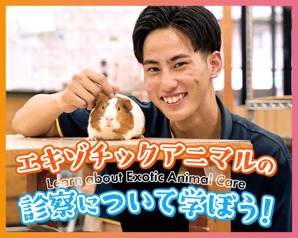 ＴＣＡ東京ＥＣＯ動物海洋専門学校