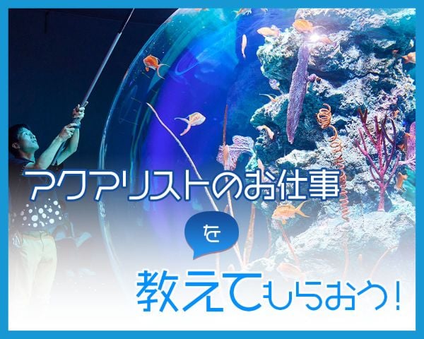ＴＣＡ東京ＥＣＯ動物海洋専門学校
