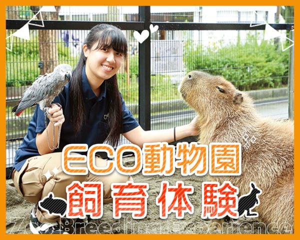 東京ECO動物園飼育体験／ＴＣＡ東京ＥＣＯ動物海洋専門学校