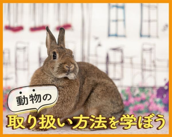 動物の取り扱い方法について学ぼう／ＴＣＡ東京ＥＣＯ動物海洋専門学校