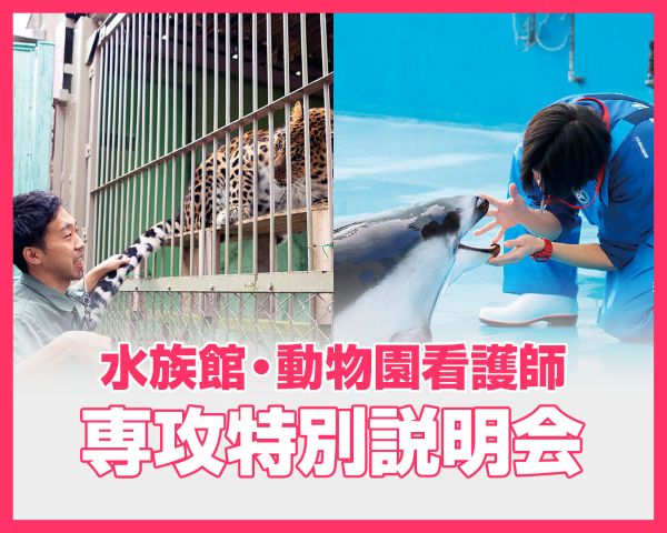 水族館・動物園看護師専攻 特別説明会／ＴＣＡ東京ＥＣＯ動物海洋専門学校