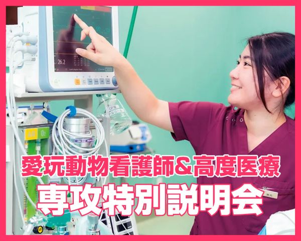 愛玩動物看護師＆高度医療専攻 特別説明会／ＴＣＡ東京ＥＣＯ動物海洋専門学校