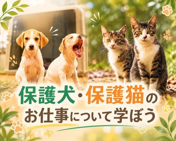 ＴＣＡ東京ＥＣＯ動物海洋専門学校
