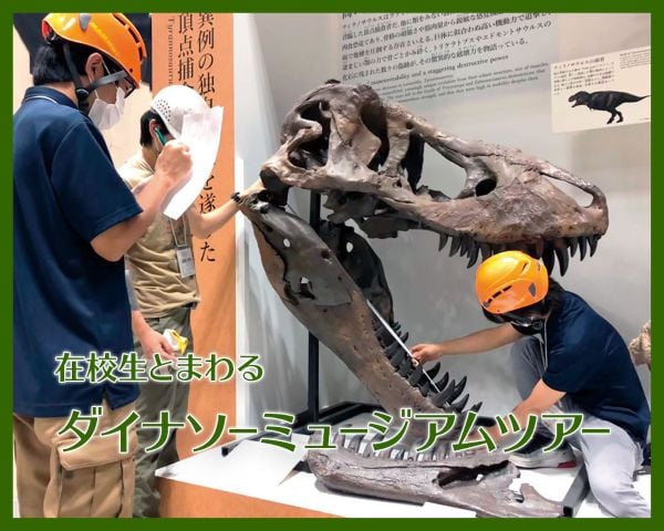 在校生とまわるダイナソーミュージアムツアー／ＴＣＡ東京ＥＣＯ動物海洋専門学校