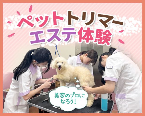 ペットトリマーエステ体験／ＴＣＡ東京ＥＣＯ動物海洋専門学校