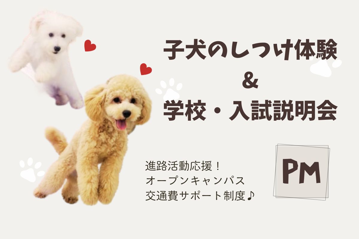 横浜動物専門学校
