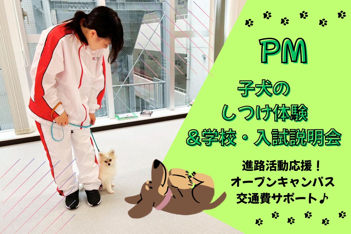 横浜動物専門学校