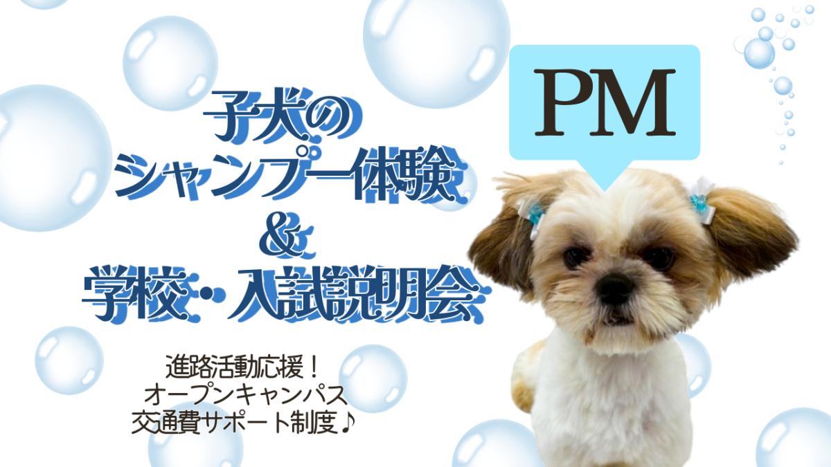 横浜動物専門学校