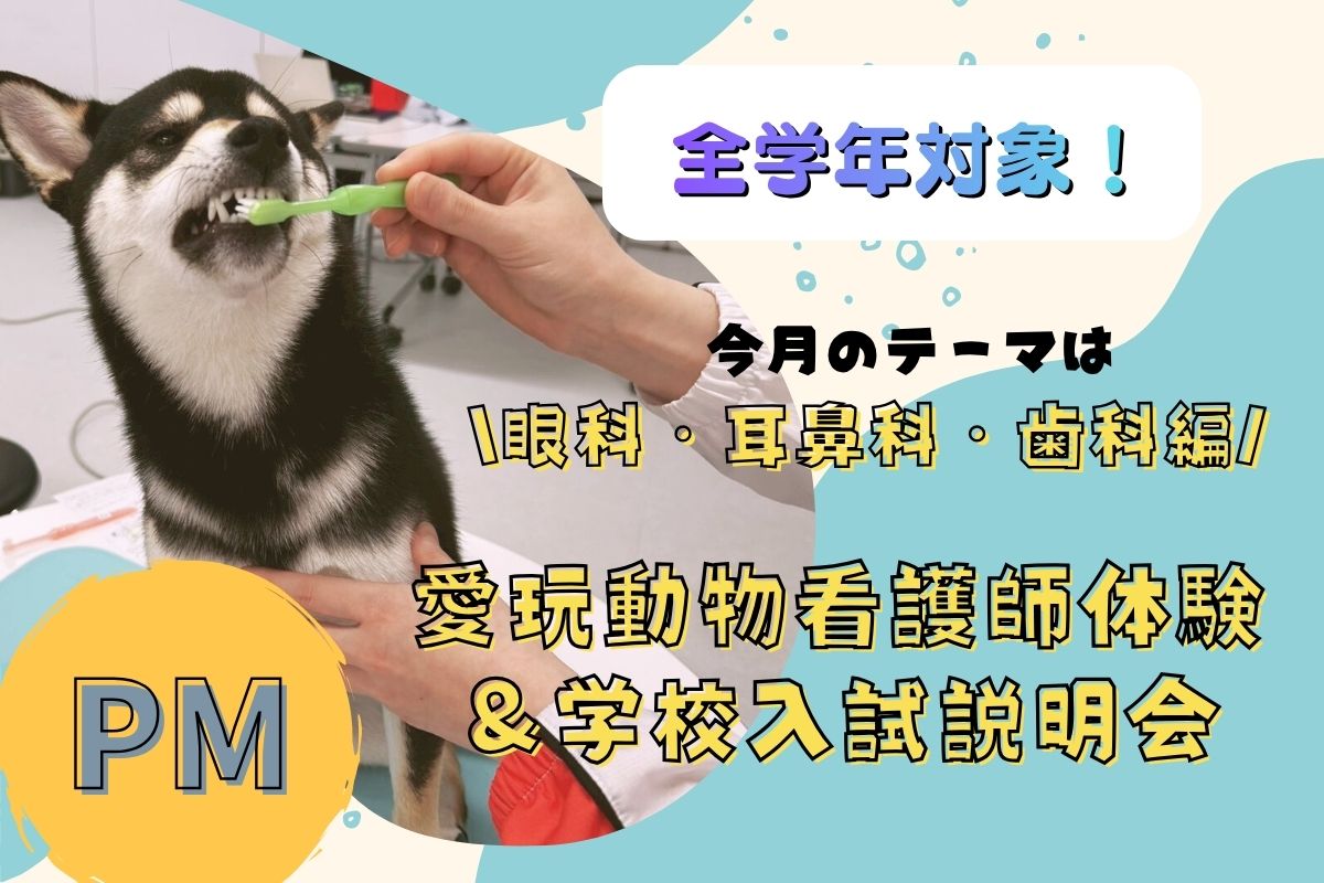 横浜動物専門学校