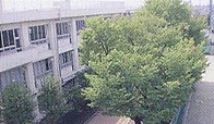 八王子北高等学校