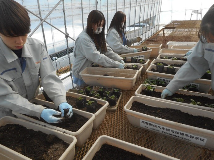長野県　佐久平総合技術高校　農業科（生物サービス科植物活用コース）のみなさん1