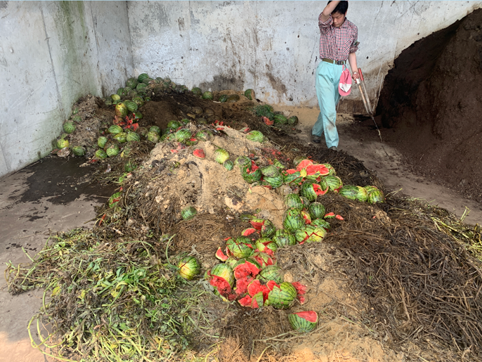 鳥取県　倉吉農業高校　生物科園芸コースのみなさん5