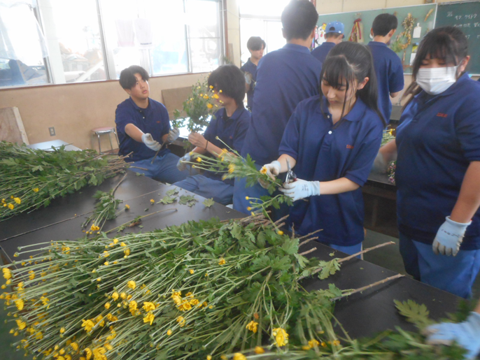 長野県 佐久平総合技術高校 農業科(生物サービス科植物活用コース)3年生のみなさん5