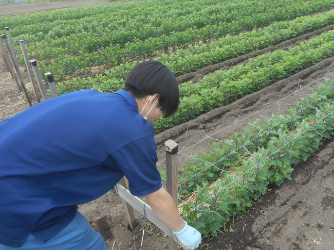 長野県 佐久平総合技術高校 農業科(生物サービス科植物活用コース)3年生のみなさん9