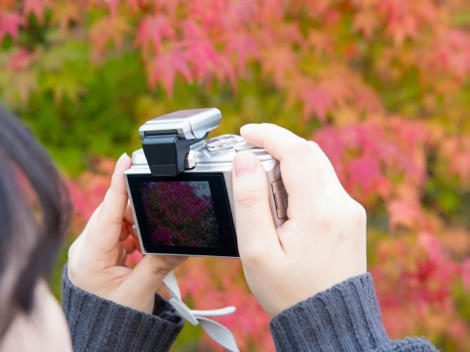 太成学院大学の部活