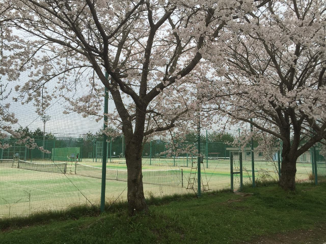 広島大学のオープンキャンパス