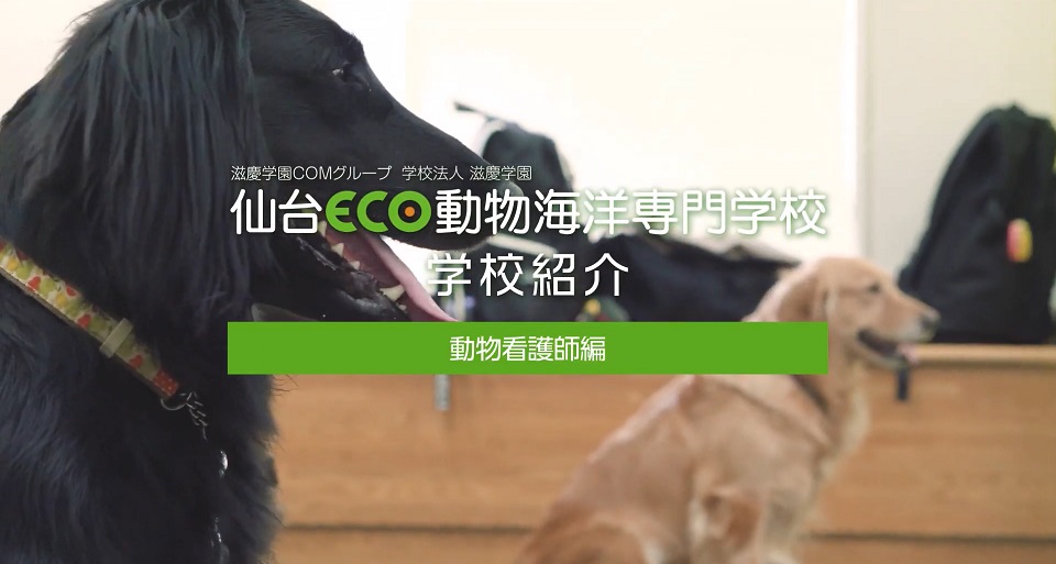 【動物看護師】 専攻紹介	