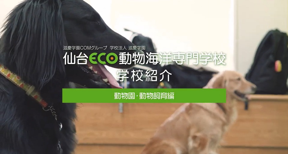 【動物園・動物飼育】専攻紹介