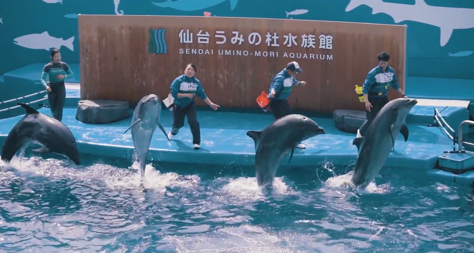 【ドルフィントレーナー】夢を叶えた卒業生SP