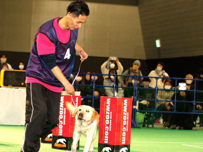愛知ペット専門学校のオープンキャンパス