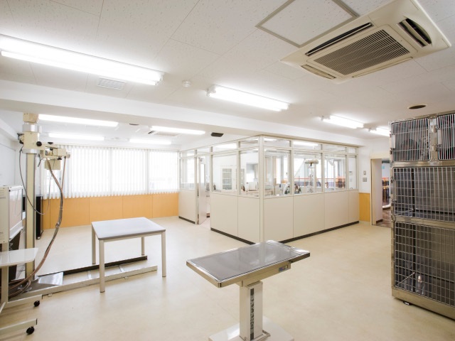 吉田学園動物看護専門学校のcampusgallery