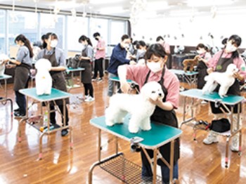 トリミング実習室／テーブル、ドライヤー、ドッグバスを設置しています。