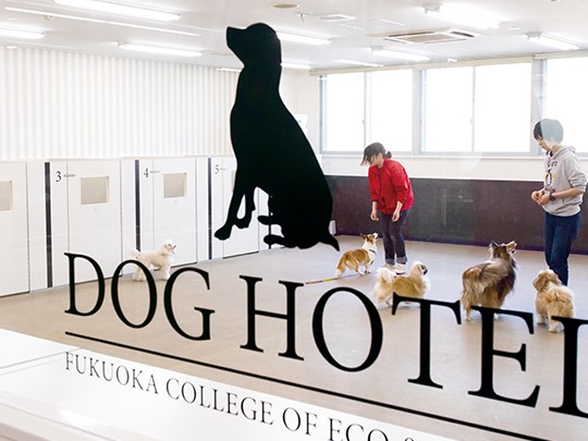 ドッグホテル／かわいい学校犬がたくさん。犬の飼育管理はもちろん、お手入れやトレーニングの基礎を学ぶことができます。