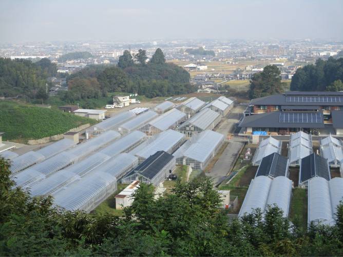 実習ほ場(池之内校舎)：奈良県の特徴的な農産物生産を実習できる露地・施設で学生自ら作物を栽培管理します。