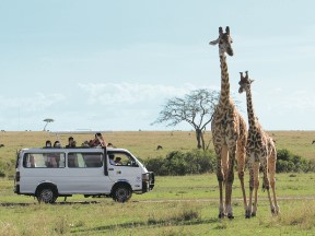 福岡ＥＣＯ動物海洋専門学校のcampusgallery